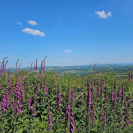 Summit Camping Kit Hill Cornwall Panoramic Views Grass Pitch From 15Pn Or Bella Bell Tent 75Pn Callington 외부 사진