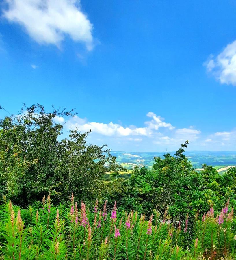 Summit Camping Kit Hill Cornwall Panoramic Views Grass Pitch From 15Pn Or Bella Bell Tent 75Pn Callington 외부 사진