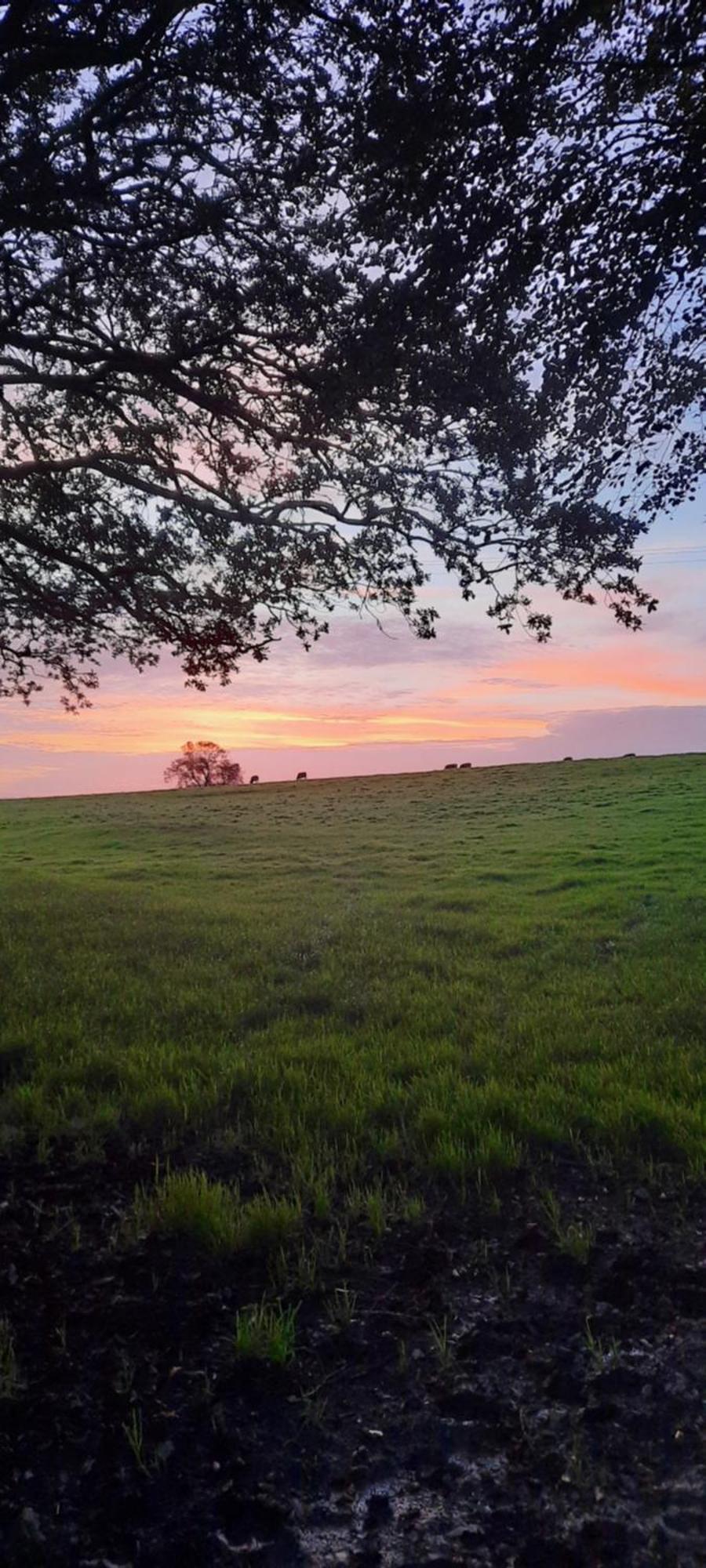 Summit Camping Kit Hill Cornwall Panoramic Views Grass Pitch From 15Pn Or Bella Bell Tent 75Pn Callington 외부 사진